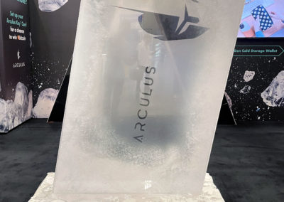Arculus card frozen in ice block