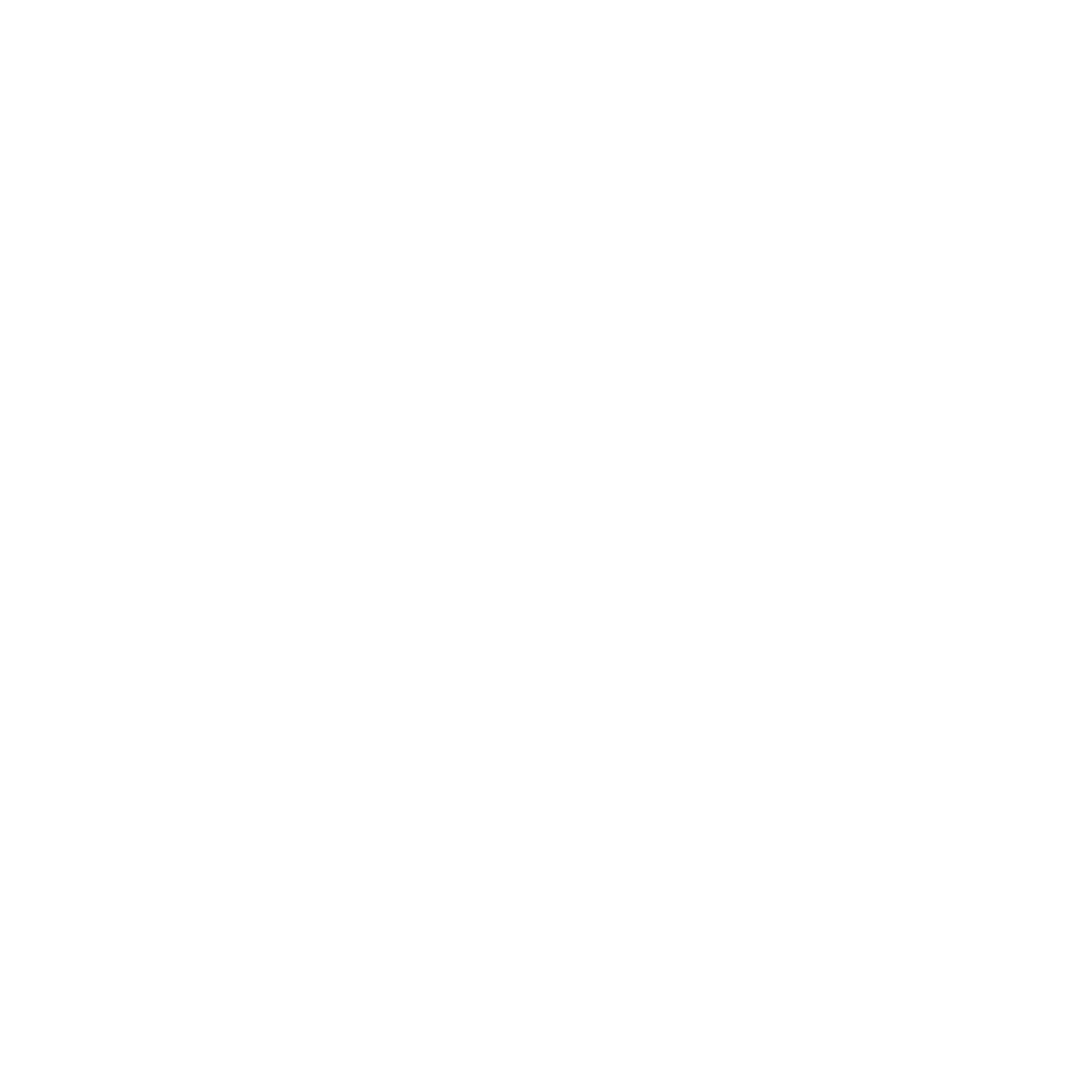 Houston-Texans-Logo