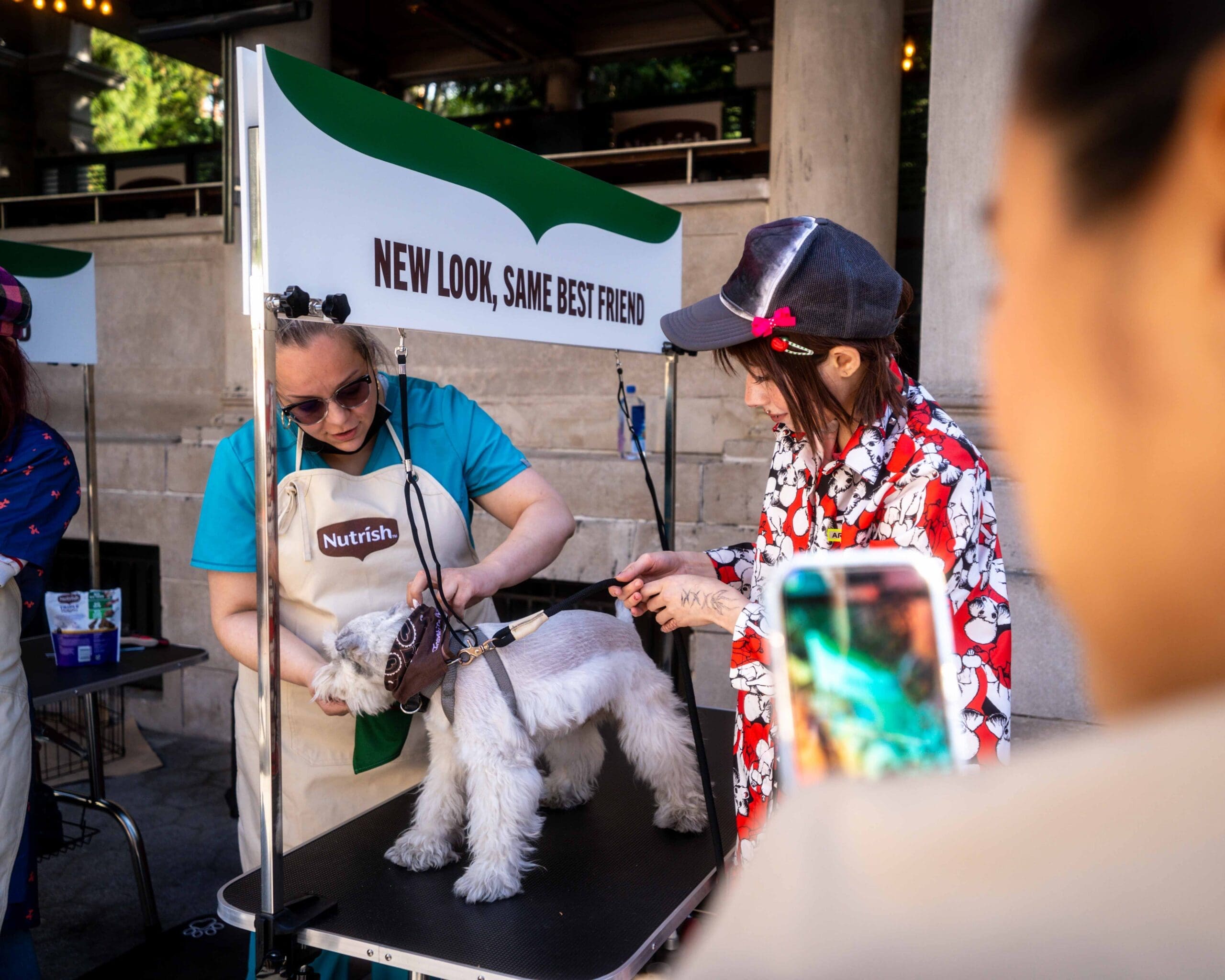 Featured image for “Community-Built Experiences: Letting Audiences Co-Create the Brand Story”